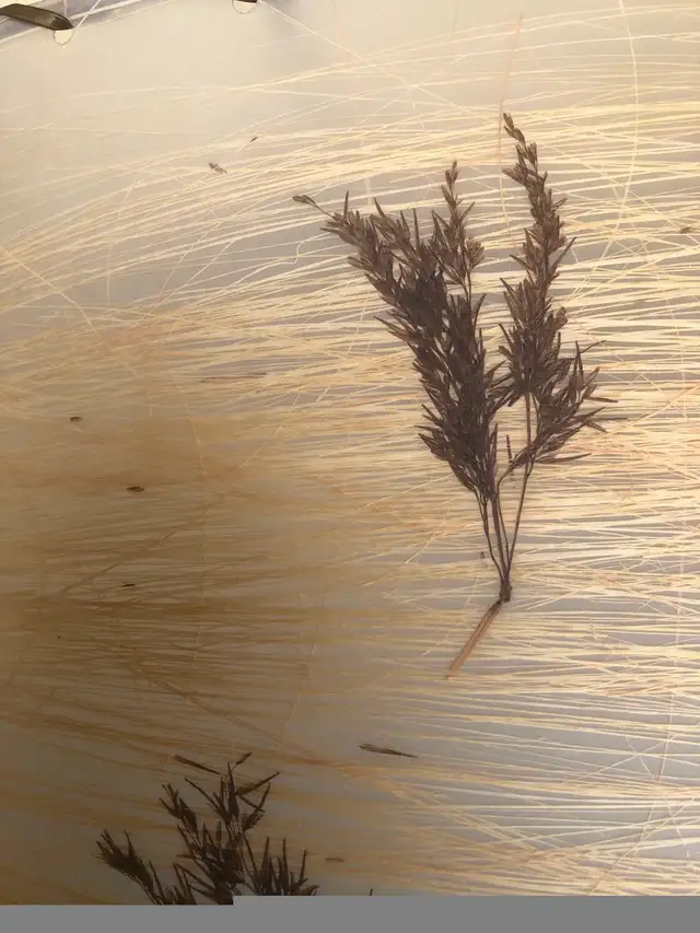 Vintage Antique MCM Fibreglass Lamp Light Shade Retro in Indoor Lighting & Fans in Oakville / Halton Region - Image 7