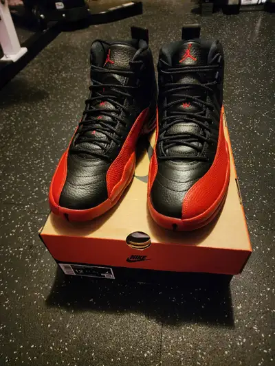 Jordan 12 flu game, View more