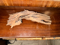 Driftwood for aquarium