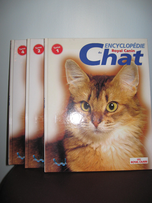 Produits pour chats/chatons dans Accessoires  à Ville de Québec - Image 2