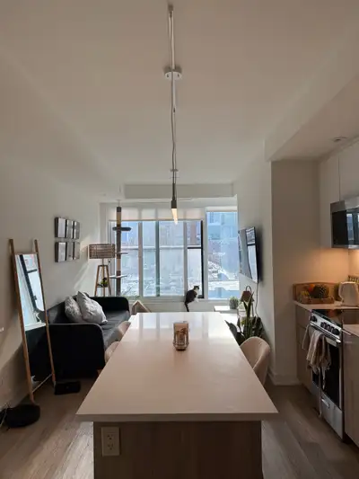 1 Bedroom Condo Lease Transfer | Downtown Toronto | Available May or June Lease transfer for a 1 bed...