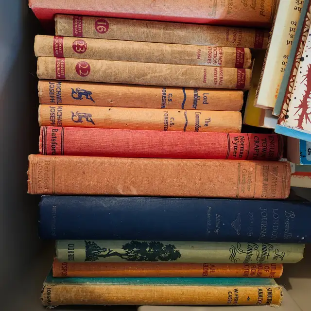 BOOKS.  Some Vintage/Antique.  Different Genres. in Fiction in Barrie - Image 4