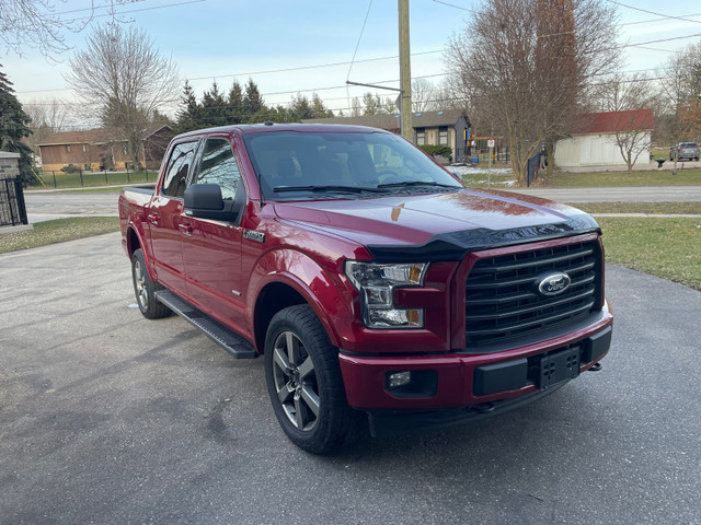 2017 Ford F150 XLT Sport 4x4  in Cars & Trucks in Kitchener / Waterloo - Image 3