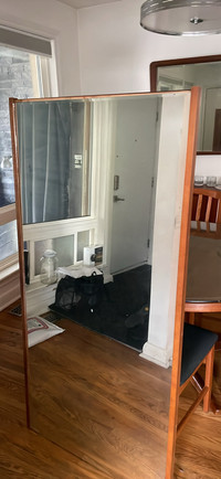 Free large mirror 29.5”&nbsp;x 60”