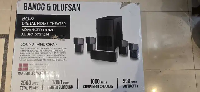 Bangg & Olusfsan Speakers in Speakers in Markham / York Region - Image 2