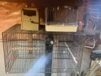 4-Cages Canary/finches+Nests+feeding+drinking+bathers+everything