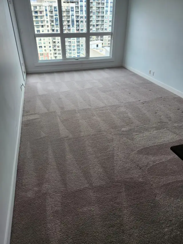 Carpet Deep Steam Cleaning  - AD Spotless Cleaning Service62863716042499121