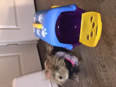 Dog Plush w Carrying Case Pet Shaggy Pup Pooch Toy Cage Kids Sm, View more