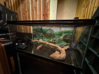 Lizard cage perfect for a young bearded dragon or other lizard.