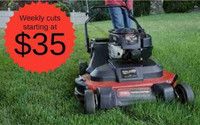 Weekly grass cutting starting at $35
