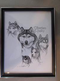 Siberian Huskies picture (8 1/2 x 11)