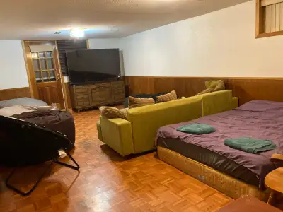 1 bedroom walkout apartment, with a kitchen, 3 piece bathroom, and a kitchen is rental for short-ter...
