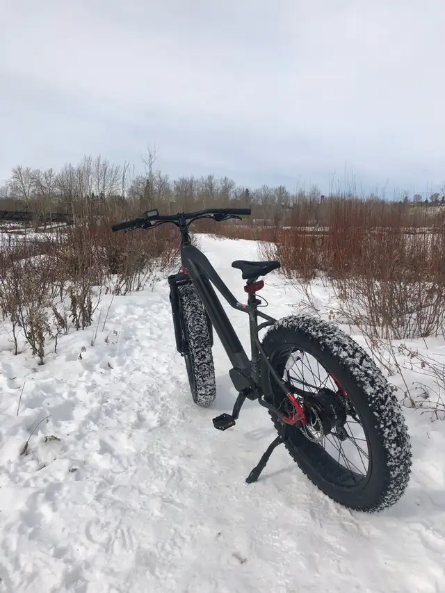 iGO Extreme 3.0 Fat Tire eBike  Low Kms, Charger + Unused Extras in eBike in Calgary - Image 3