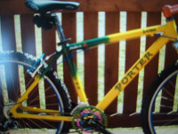 Looking for Porter mountain bike.