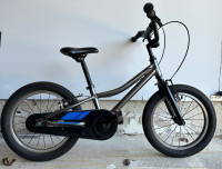 Giant 16” Aluminum Frame Kids Bike
