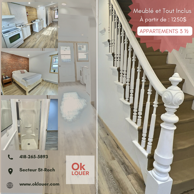 APPARTEMENTS 3 1/2, CENTRE VILLE - meublé ET tout inclus