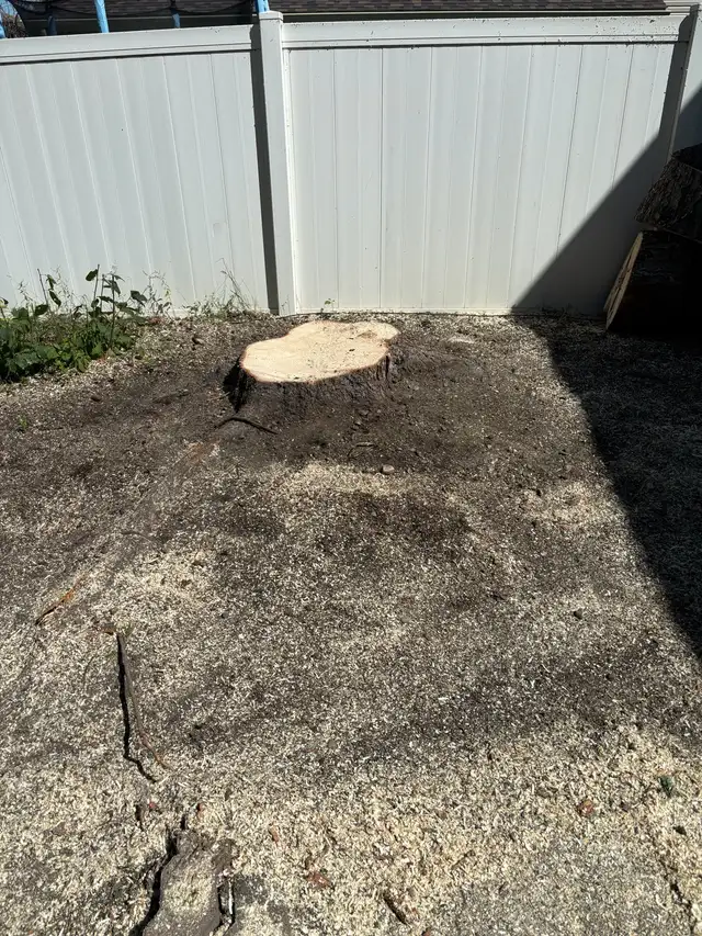 STUMP/TREE REMOVAL63581884984707120