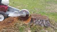 Stump grinding and removal