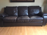 Natuzzi Leather Pull-Out Couch