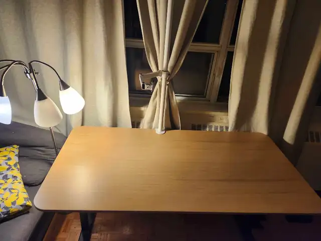 Electric Height Adjustable Standing Desk-Wood Top in Desks in City of Toronto - Image 4