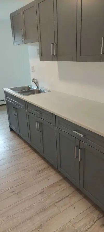 2 bedroom 1 bathroom upper unit available in 4plex $1,450 + hydro Located across from St. Thomas Elg...