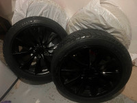 Tesla winter tires and rims