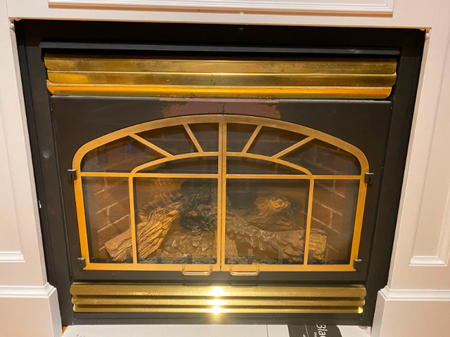 Napoleon Gas Fireplace in Fireplace & Firewood in City of Halifax - Image 2