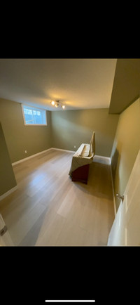 Home renovations and basements remodelling 