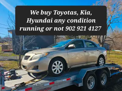 BUYING Toyotas, Kia, Hyundai, in any shape running or broke