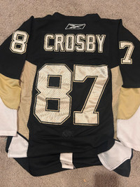 Pittsburgh penguins with Crosby