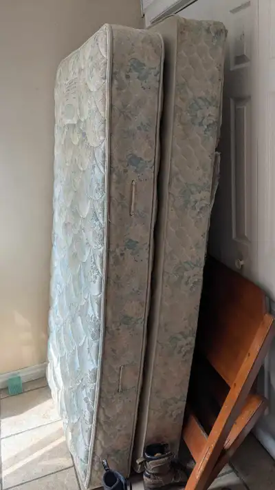 single bed(fee) , View more