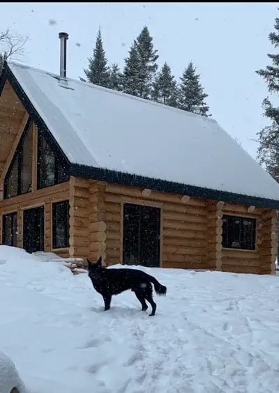 **Maison de bois rond à louer – 4 acres privés – meublée – accès rivière** Vivez la paix absolue dan...