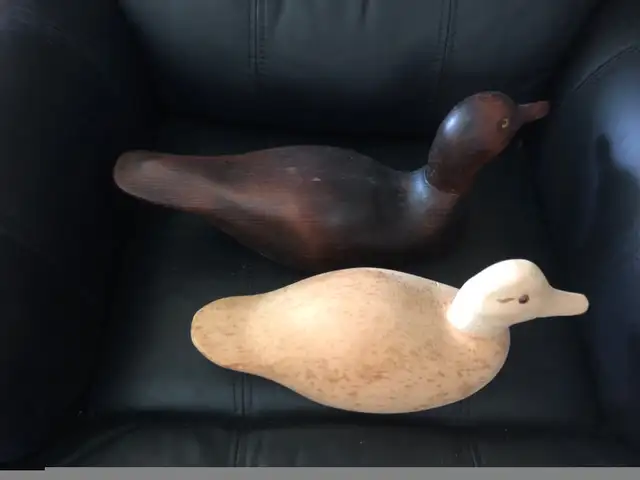 Two wooden duck decoys in Arts & Collectibles in City of Toronto - Image 3