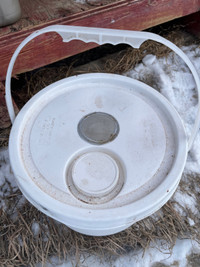 Bee Hive Feeder Pail - Price Reduced 