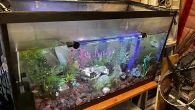aquarium tank for sale, View more