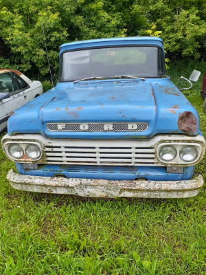 1959 Ford F 100 04