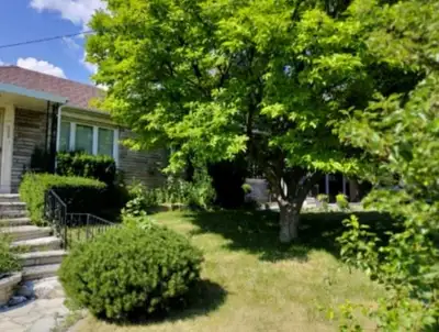Room for rent in a house. Main floor room. 100 meters from Glencairn Subway station. Great neighborh...