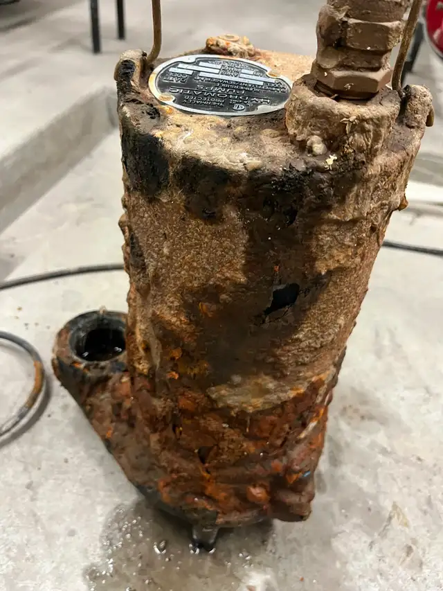 Drain cleaning service $60538899673472706565