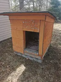 Free dog house 