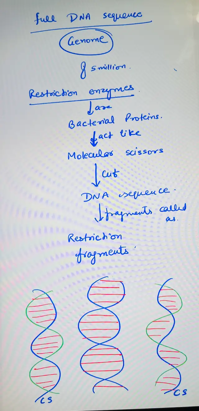 Physics Chemistry Biology Maths Grade 11 -12 Female in Tutors & Languages in Ottawa - Image 7