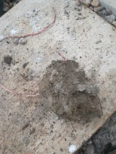 3 able guys available for cash work, View more