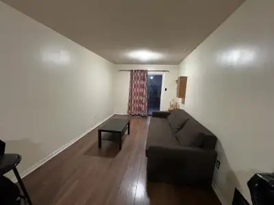 1 Bed, 1 Bath apartment - walking distance from Square one