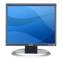 Dell 19" LCD Monitor with USB Ports
