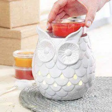 White Owl Wax Warmer , View more