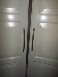 2 wardrobe doors with 3 hinges and handles