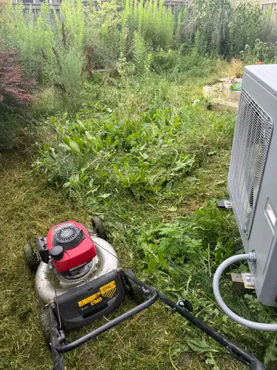 Text me for more information Lawn care Grass cutting Weed removal Trimming/ blowing/ bagging Mulch R...