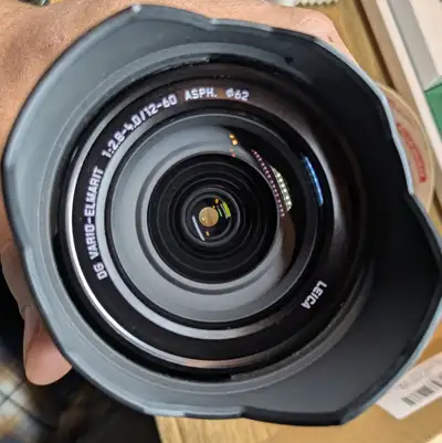 Panasonic LEICA 12-60mm f/2.8-4 OIS Lens, View more