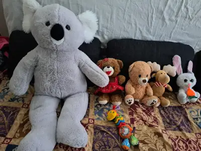 60 pieces Stuffed plush toys are only $80, View more