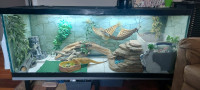 6 foot long lizard tank