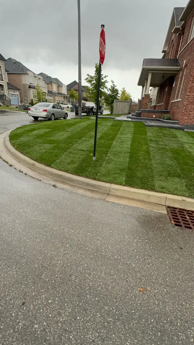 SOD INSTALL - NEW GRASS!63008305251073122